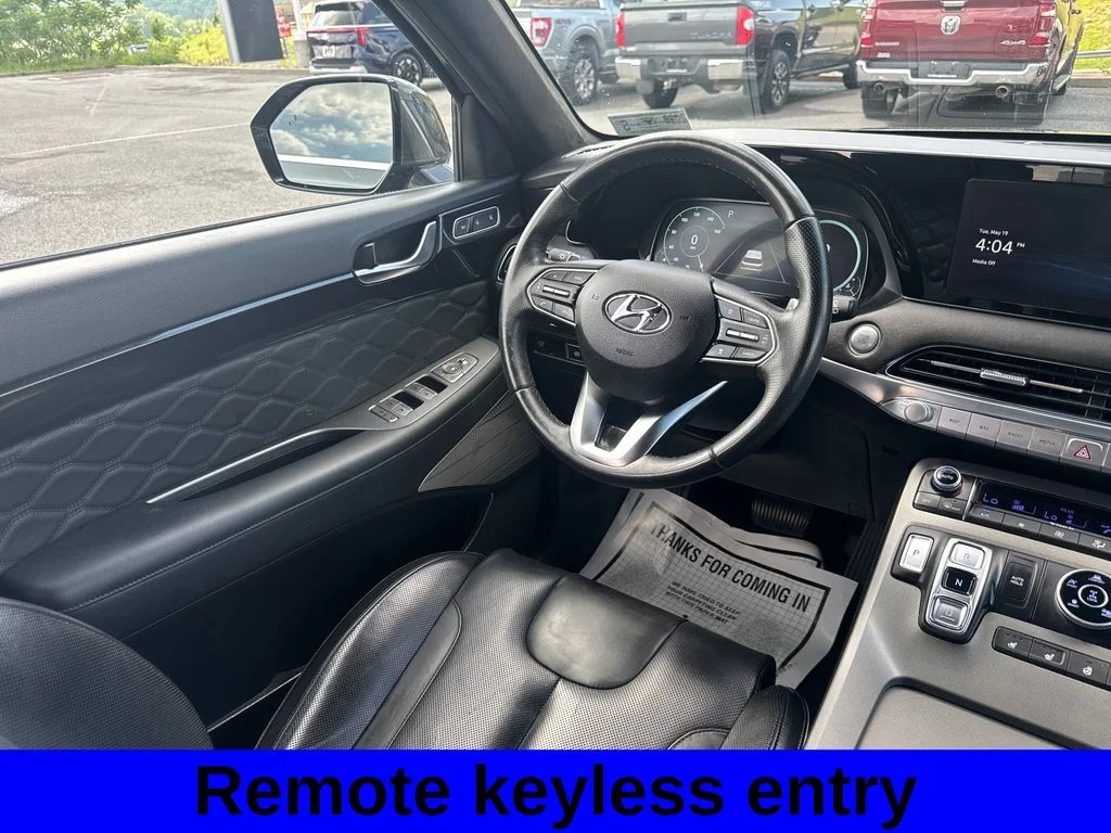 Used 2022 Rainforest Hyundai Calligraphy image 10