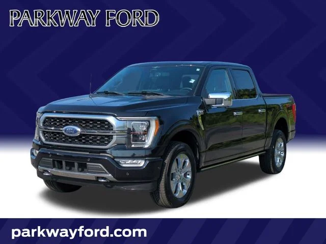 Used 2023 Black Ford Platinum image 1