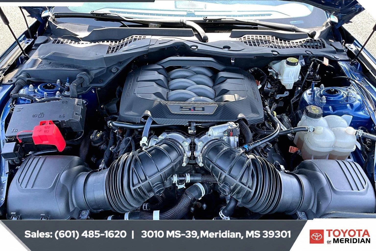 Used 2024 Atlas Blue Ford GT Premium image 8