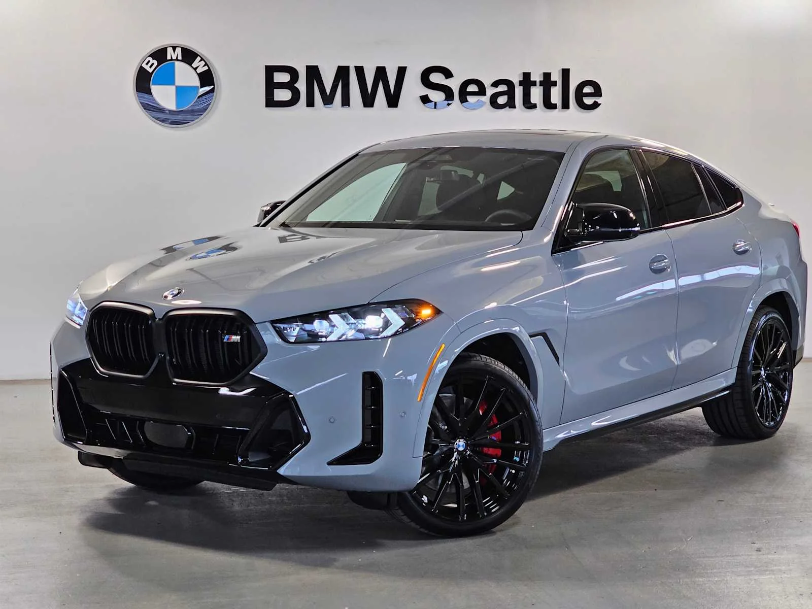 2026 BMW X6 M60i's photo