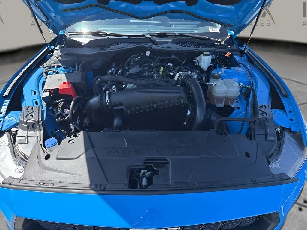 Used 2024 Blue Ford EcoBoost image 26