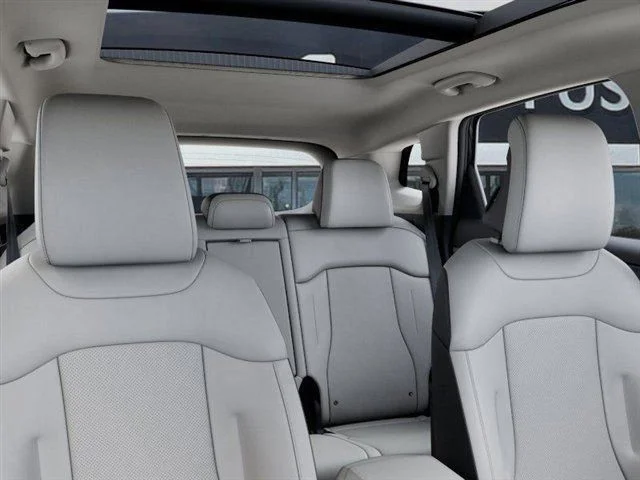 New 2026 Panthera Metal Gray Kia EX image 27