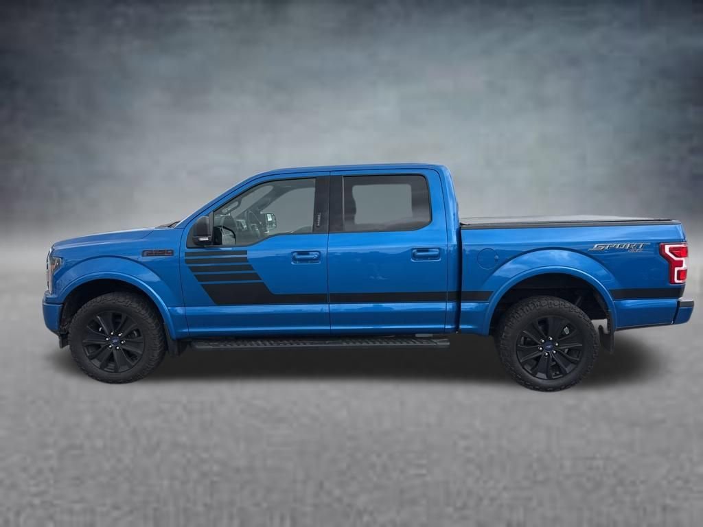 Used 2019 Velocity Blue Ford XL image 2