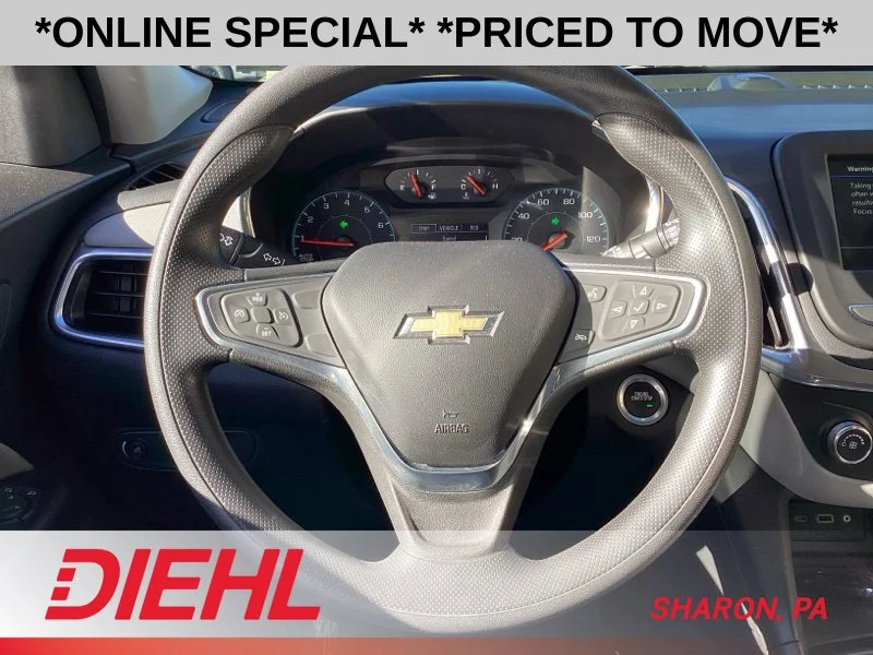 Used 2019 Silver Chevrolet LS image 30