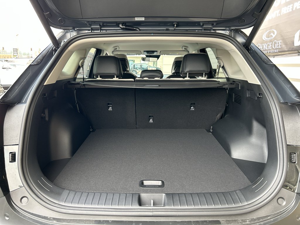 New 2027 Fusion Black Kia EX image 14