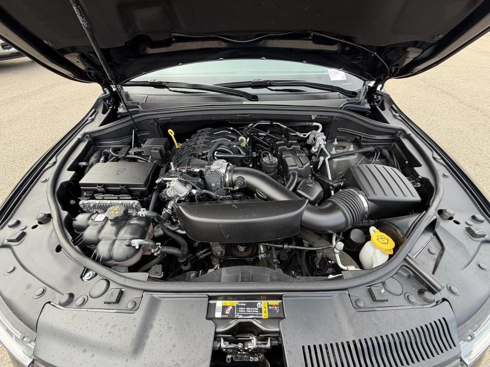 Used 2025 DB Black Clearcoat Dodge GT Plus image 23
