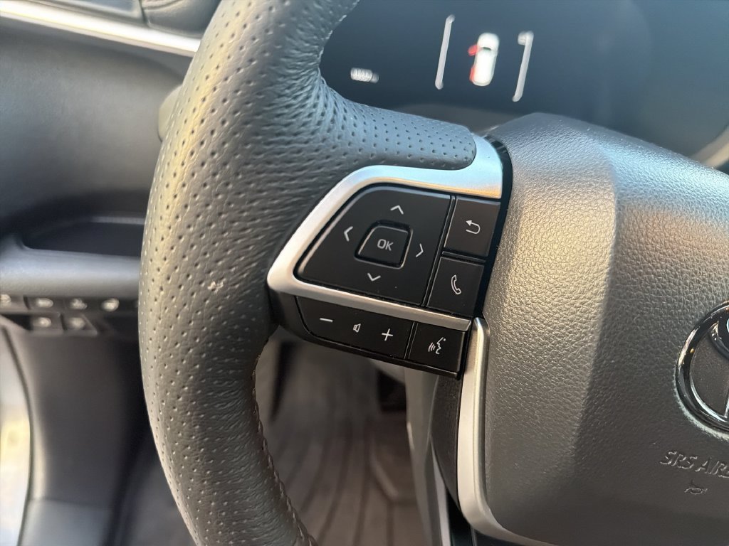 2025 Toyota Sienna Platinum - Photo 17