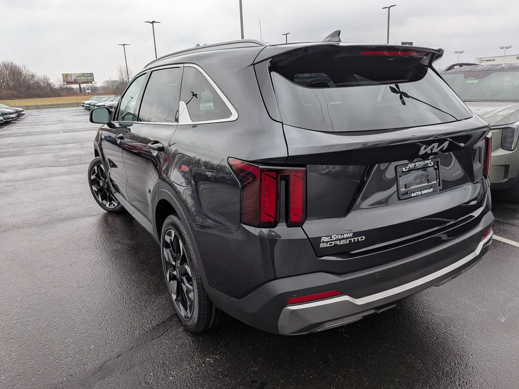 New 2026 Panthera Metal Kia EX image 5