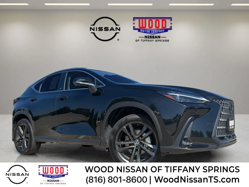 Used 2025 Obsidian Lexus Luxury image 1
