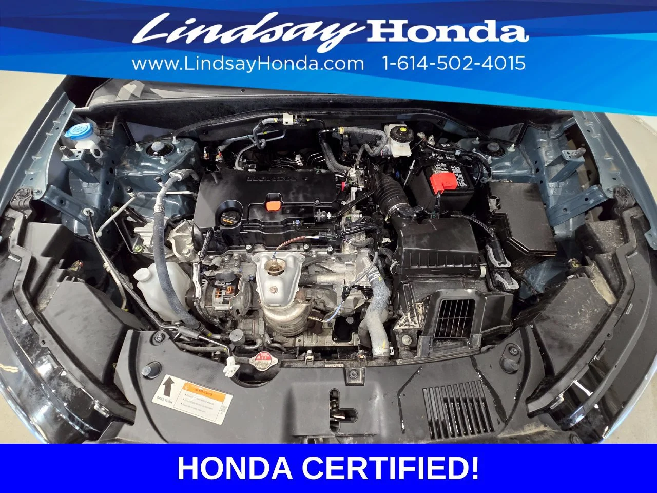 Certified Used 2024 Nordic Forest Pearl Honda Sport image 51