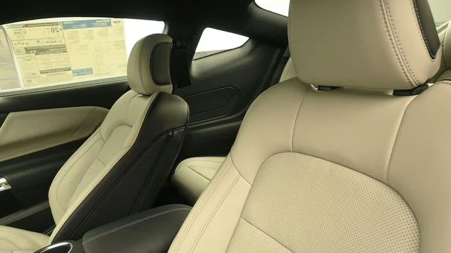 New 2026 Carbonized Gray Metallic Ford EcoBoost® Premium Fastback image 16