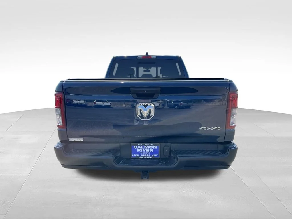 Used 2024 Blue Ram Tradesman image 6