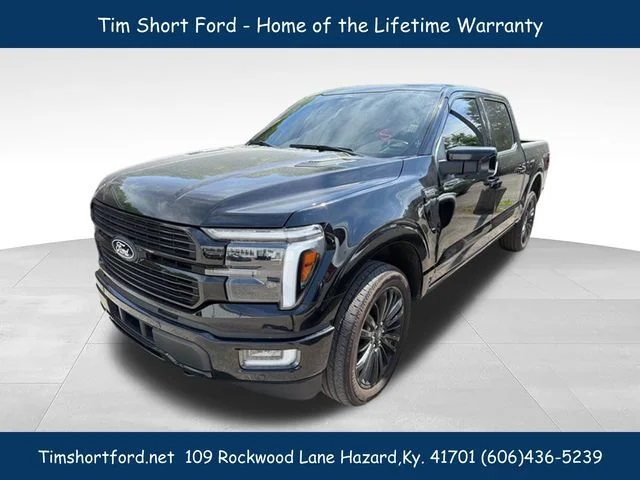 Used 2025 Black Ford Platinum image 1