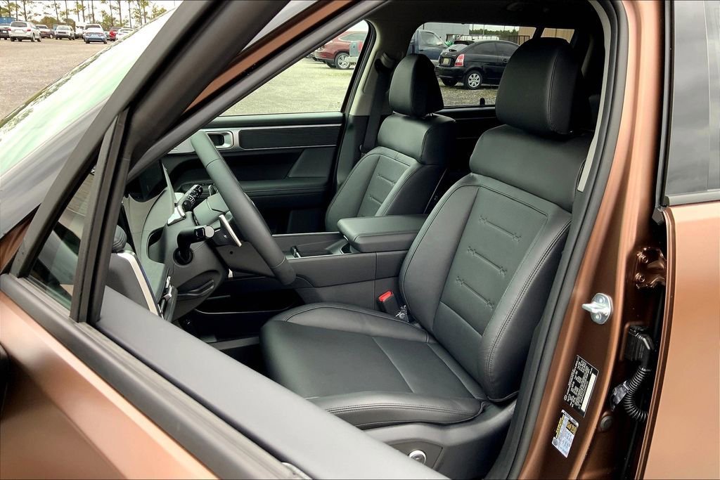 2025 Hyundai Santa Fe Limited - Photo 9