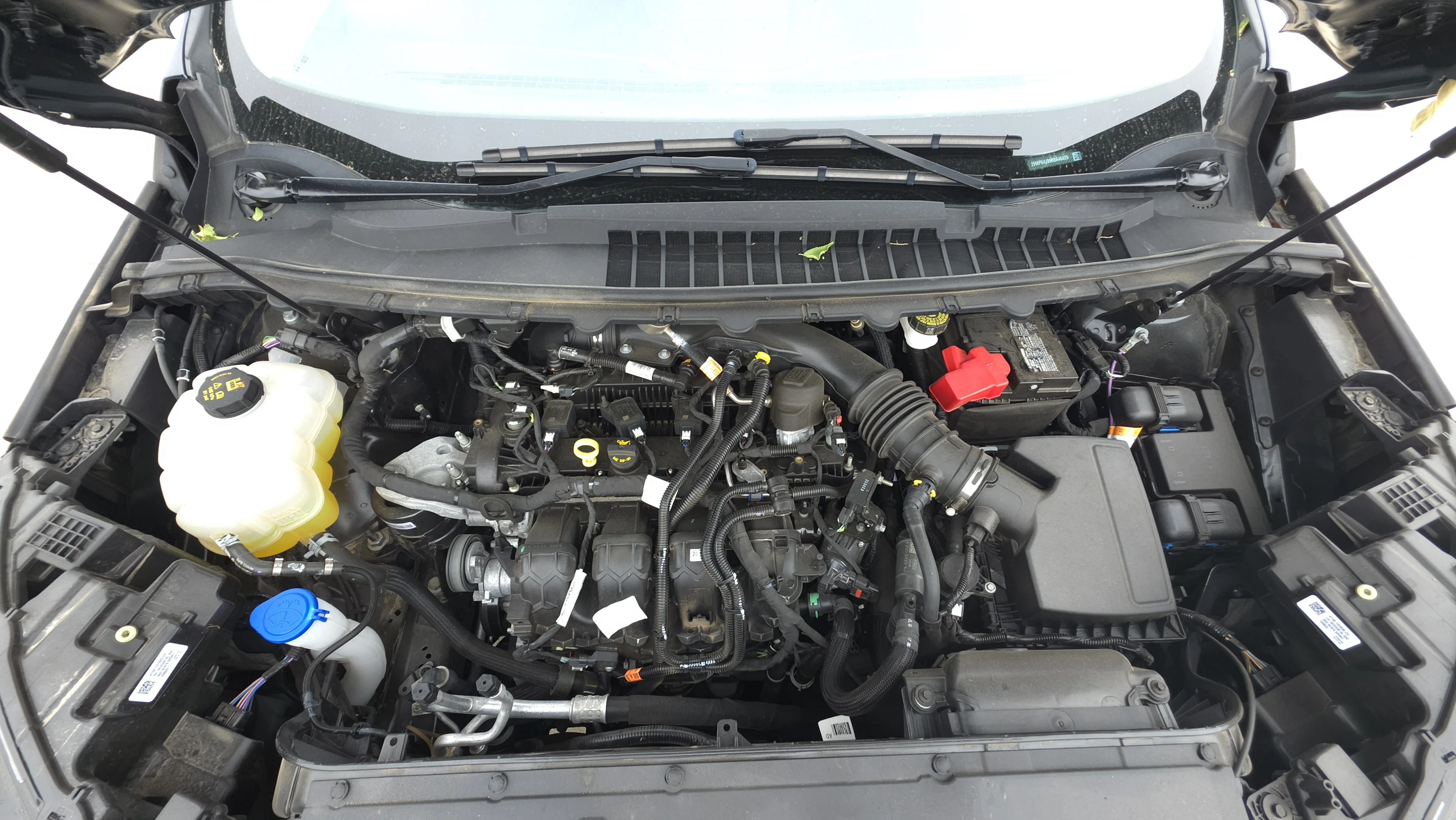 Used 2024 Blue Ford SEL image 24