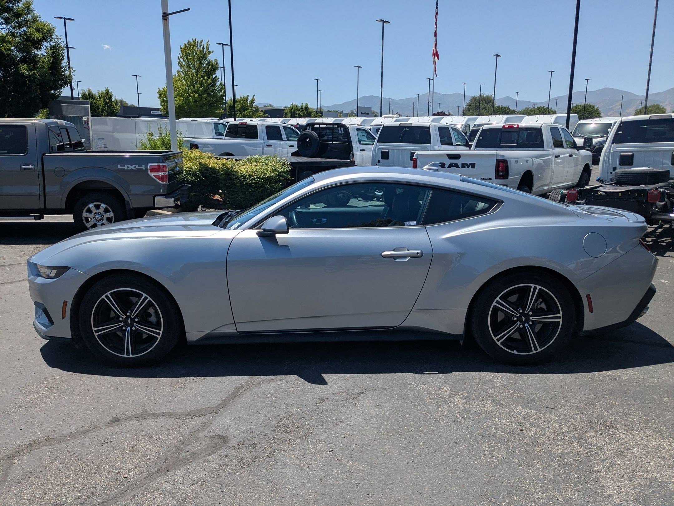 Used 2025 Silver Ford EcoBoost Premium image 7