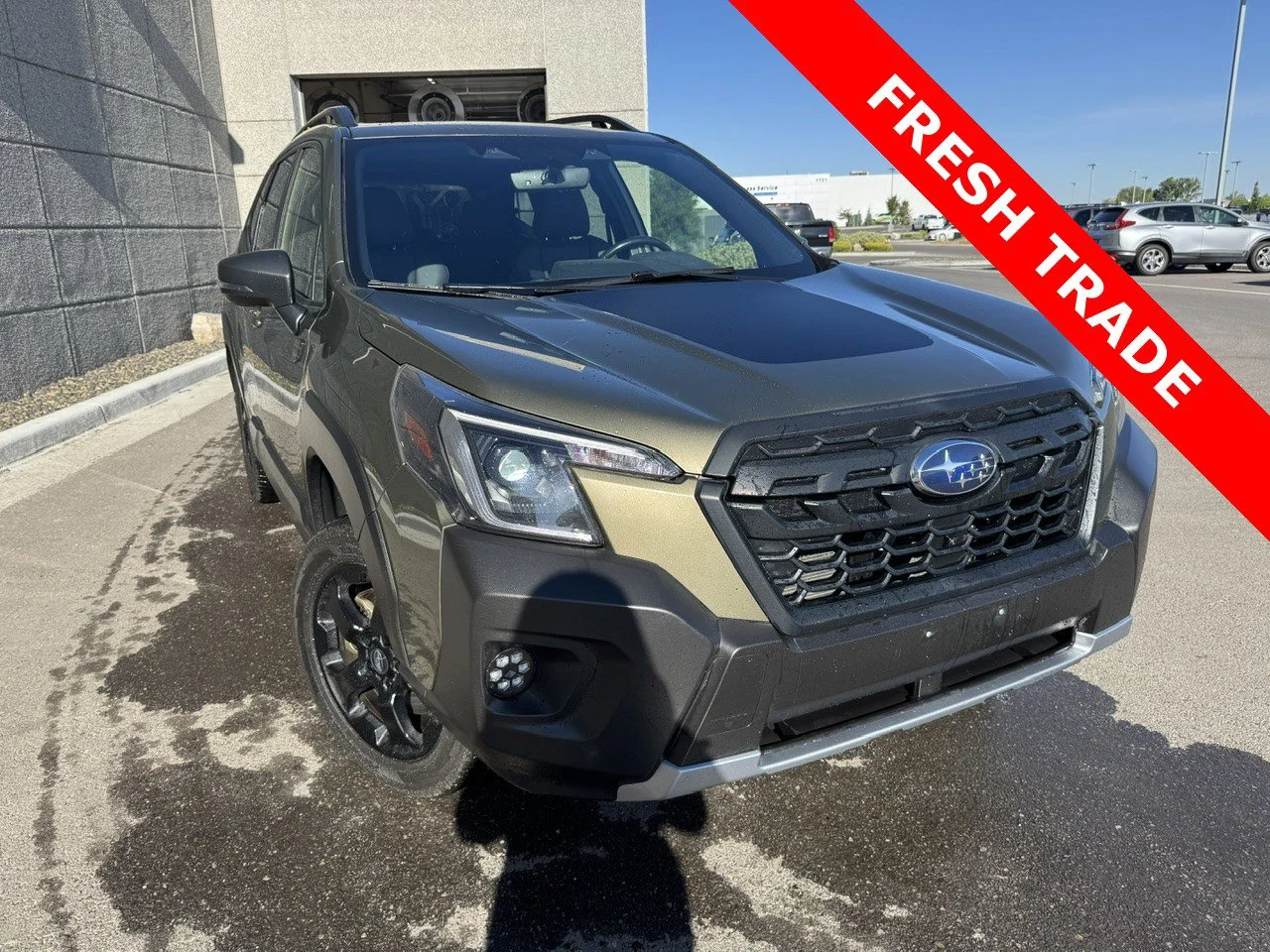 2022 Subaru Forester Wilderness's photo