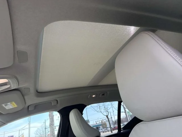 New 2026 Aurora Silver Volvo Ultra image 22