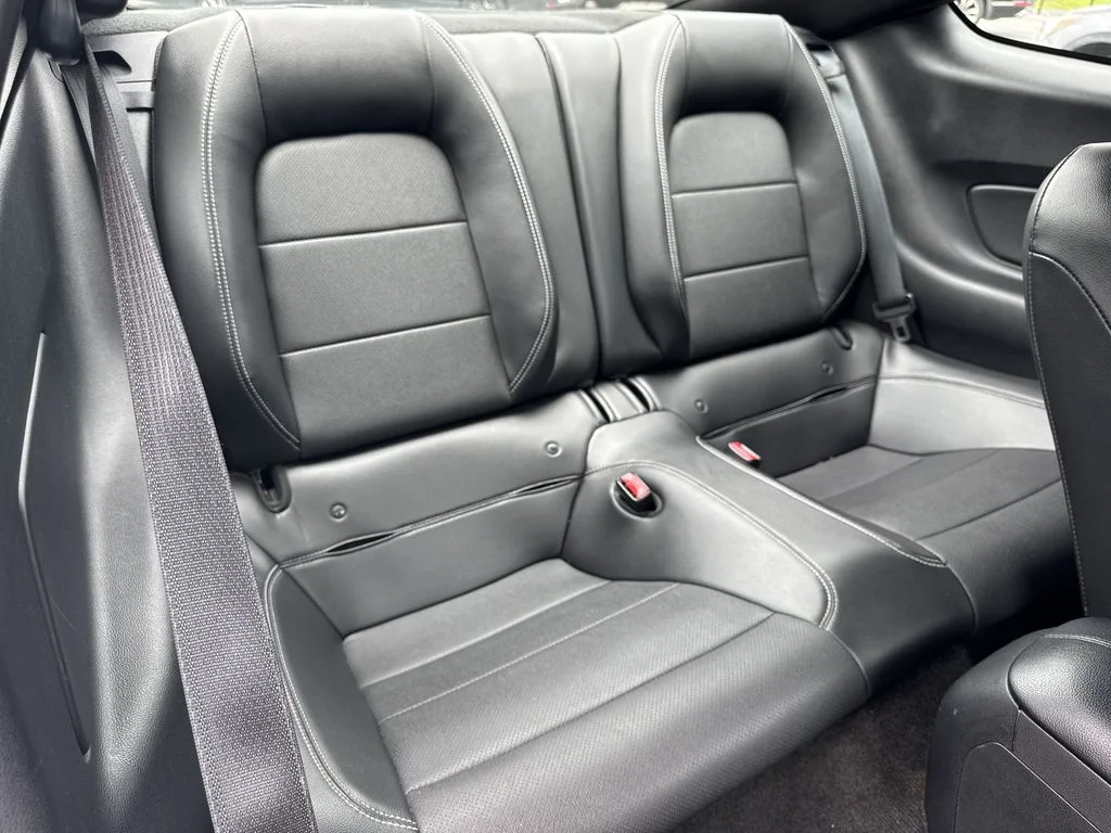 Used 2017 Silver Ford EcoBoost Premium image 15