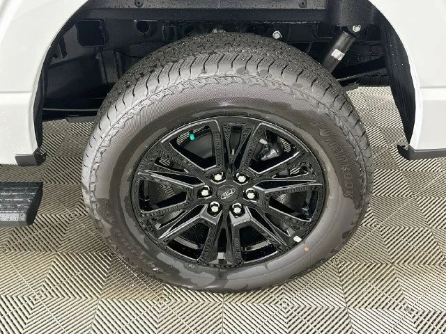 New 2026 White Ford Platinum image 24