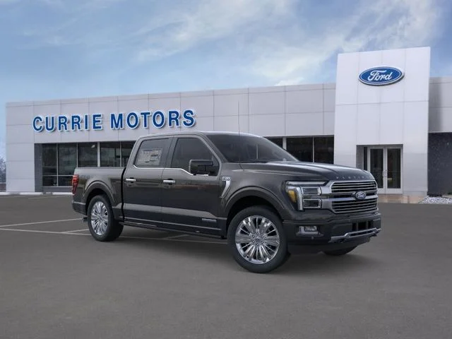 New 2026 Agate Black Metallic Ford Platinum image 7