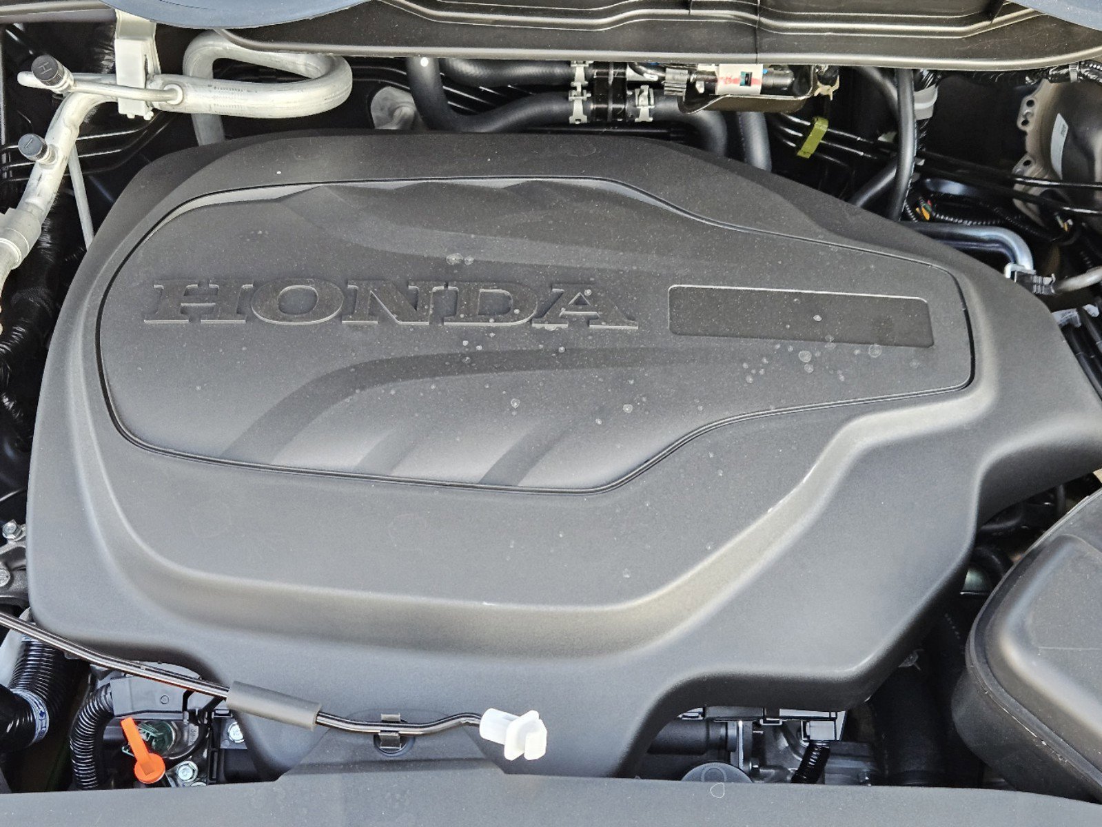 New 2027 Smoke Blue Pearl Honda Elite image 5