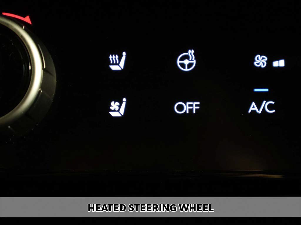2026 Hyundai Palisade Calligraphy - Photo 12