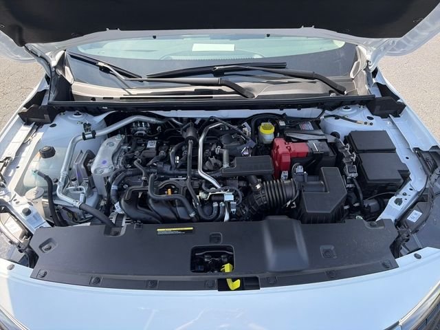 New 2026 Aspen White TriCoat / Super Black Two-tone Nissan SR image 30
