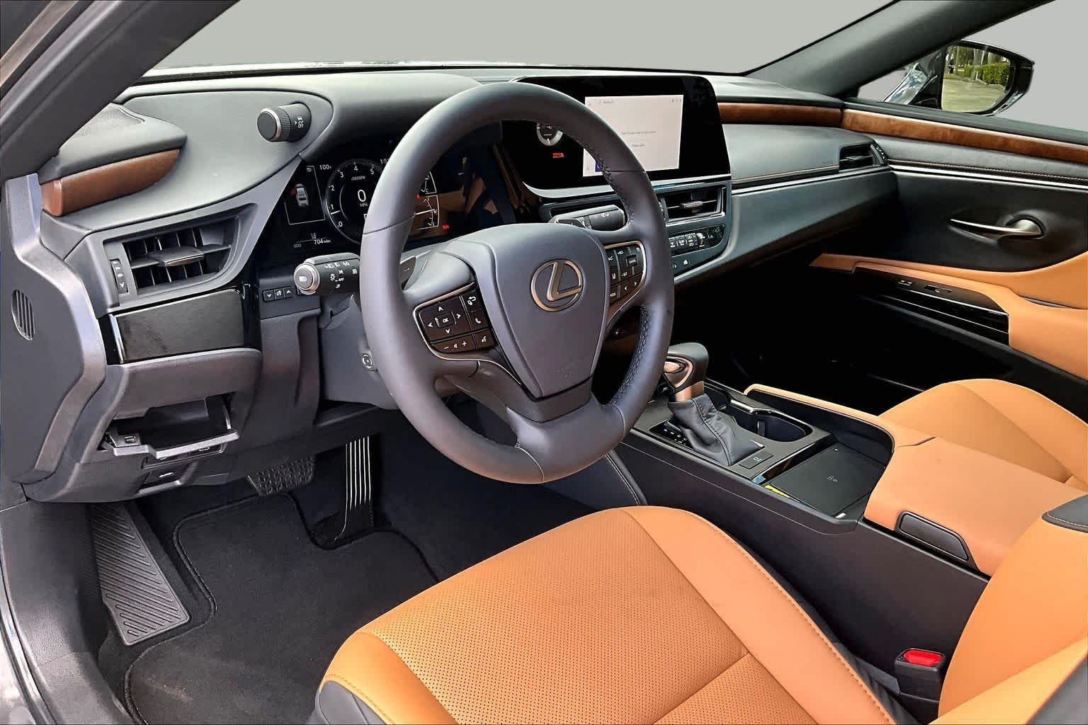 Used 2025 Cloudburst Gray Lexus  image 18