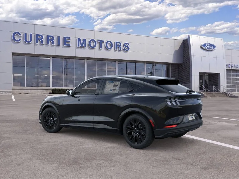 New 2026 Shadow Black Ford Premium image 4