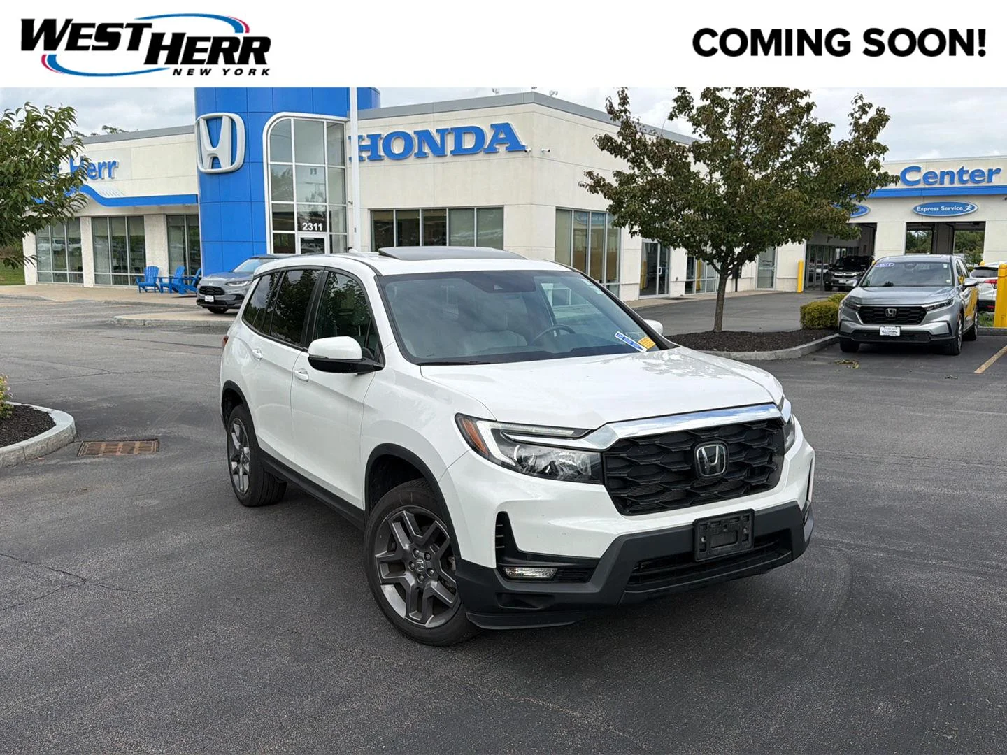 Used 2023 Platinum White Pearl Honda EX-L image 1