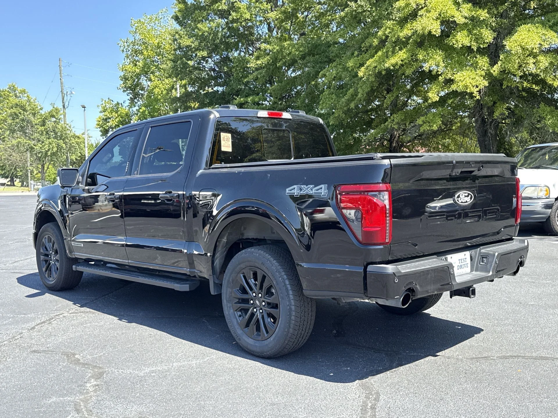 Photo 19