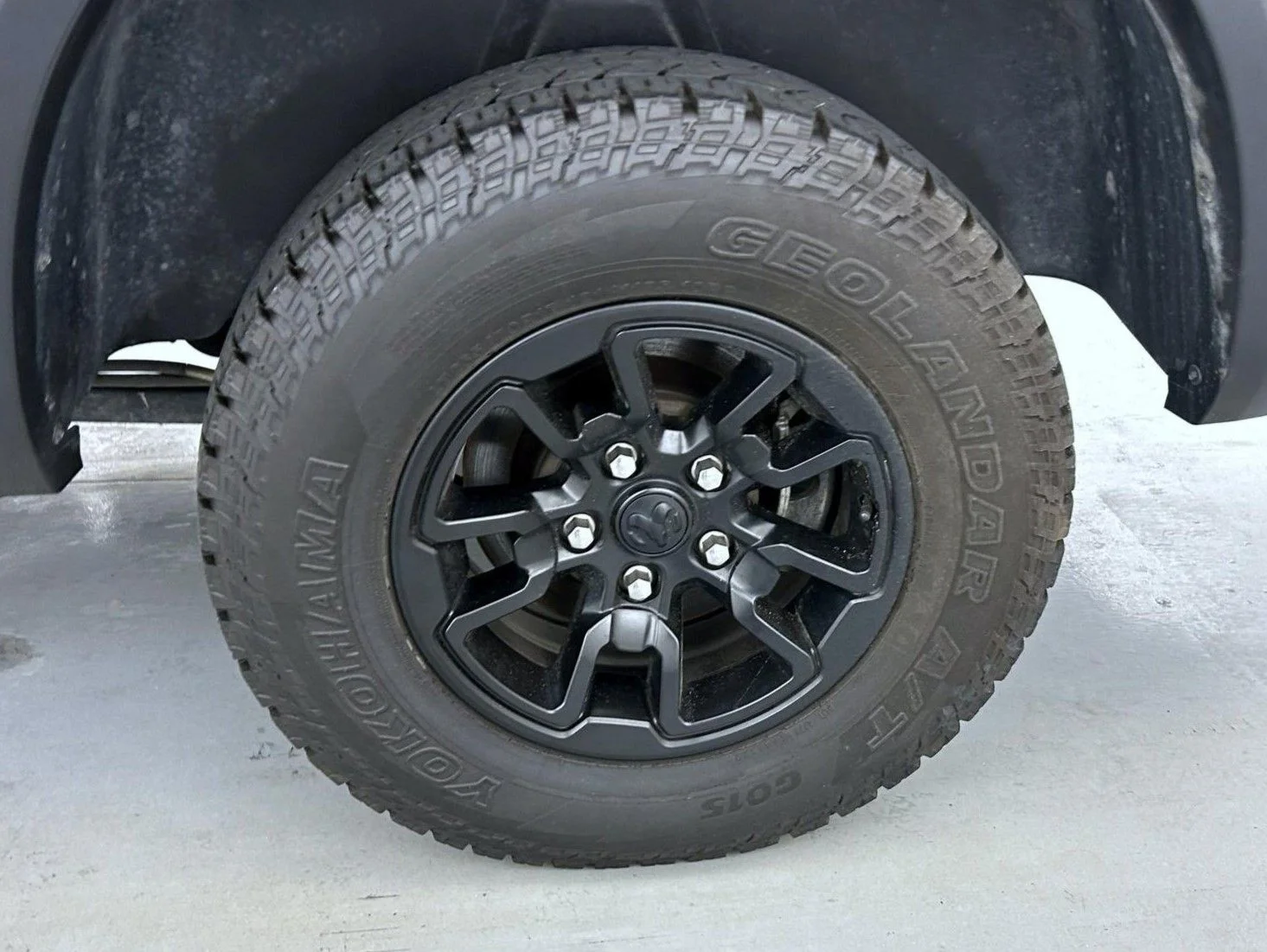 Used 2023 Black Ram Warlock image 22