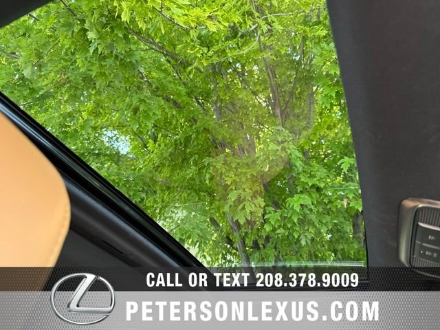 Used 2025 Black Lexus LUXURY image 14