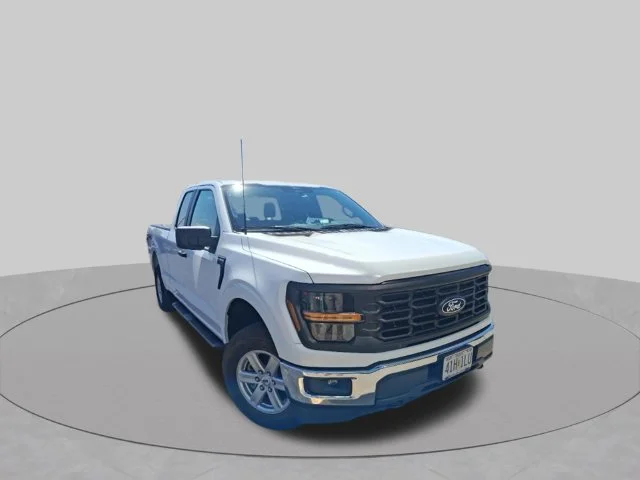 Used 2025 White Ford XL image 1