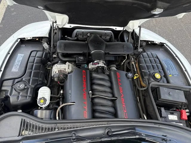 Used 2004 Arctic White Chevrolet  image 26