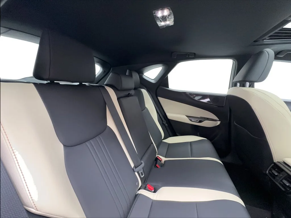 Used 2024 Red Lexus 250 Premium image 28