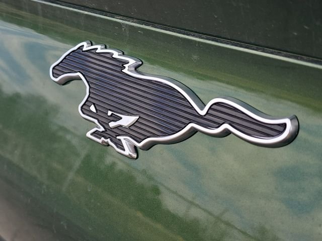 New 2026 Eruption Green Metallic Ford Premium image 38