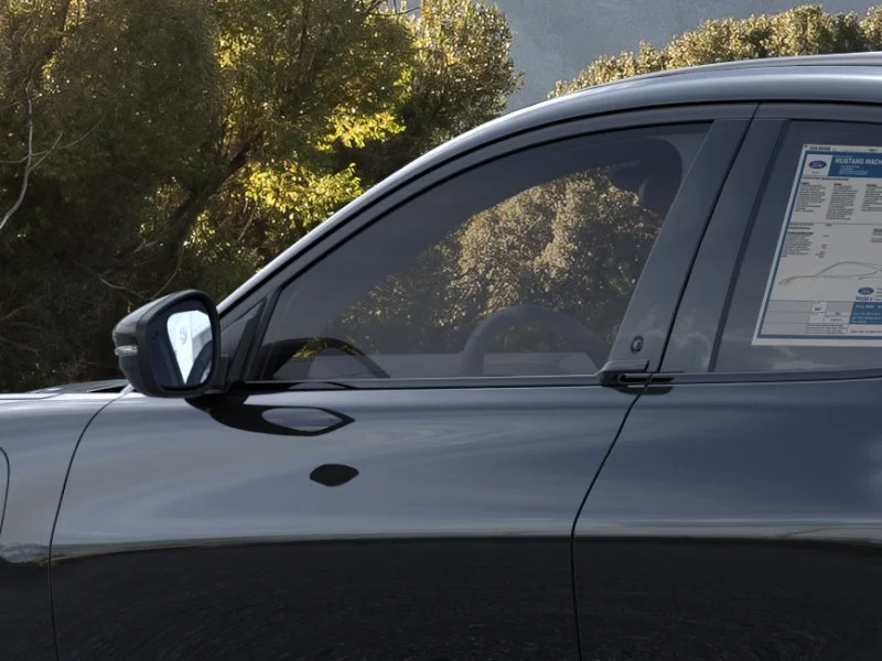 New 2026 Shadow Black Ford Premium image 20