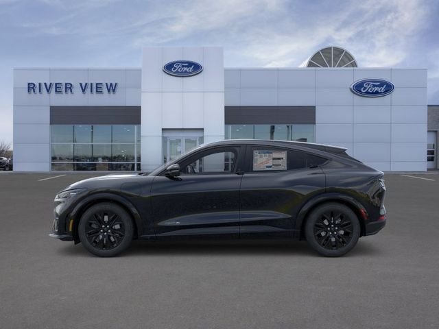 New 2026 Shadow Black Ford Premium image 3