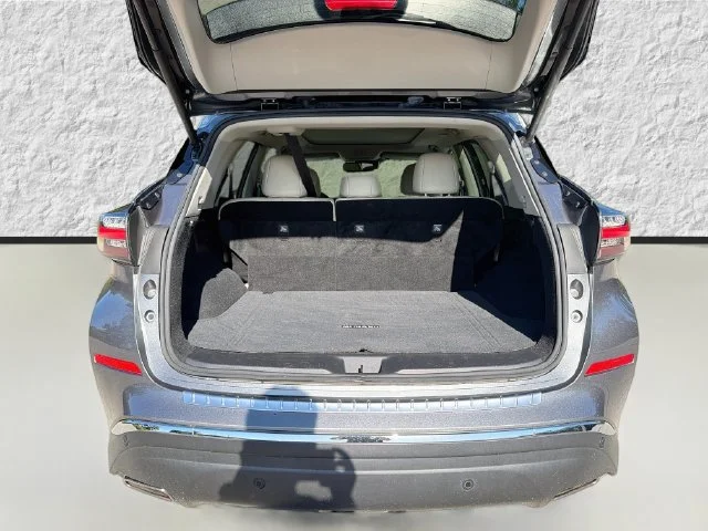 Used 2020 Gun Metallic Nissan Platinum image 12
