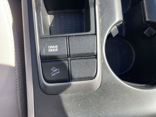 Used 2017 Ruby Hyundai Eco image 29