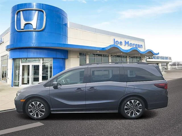 New 2026 Modern Steel Metallic Honda Elite image 3