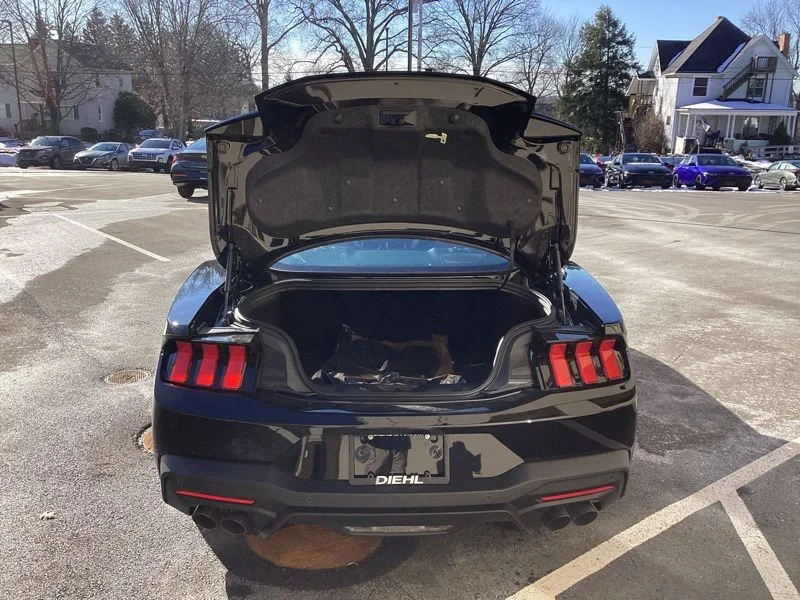 2026 Ford Mustang EcoBoost Premium Fastback - Photo 11