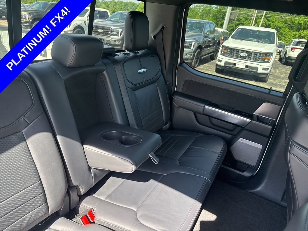 2025 Ford F-150 Platinum - Photo 17