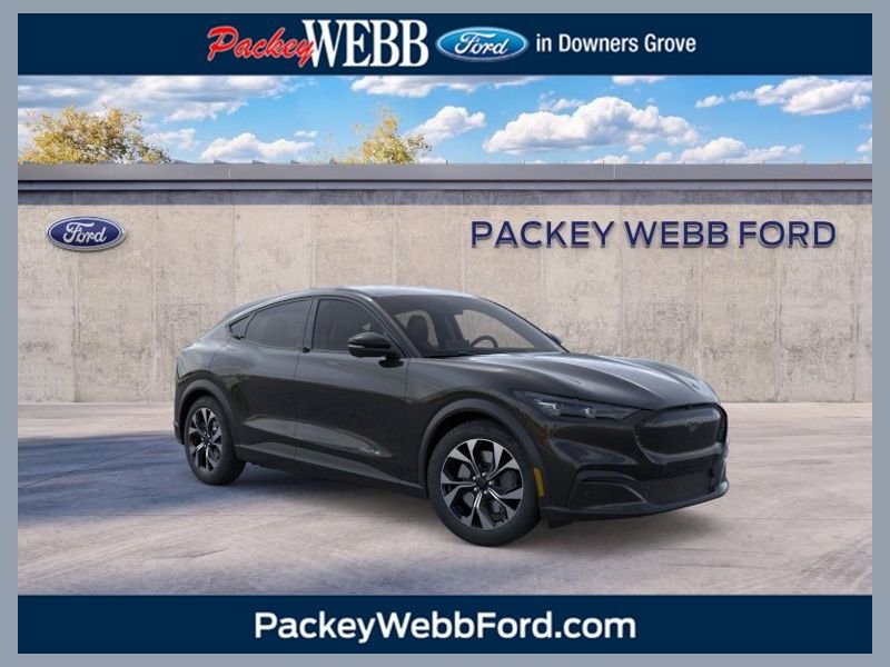New 2026 Shadow Black Ford Select image 1