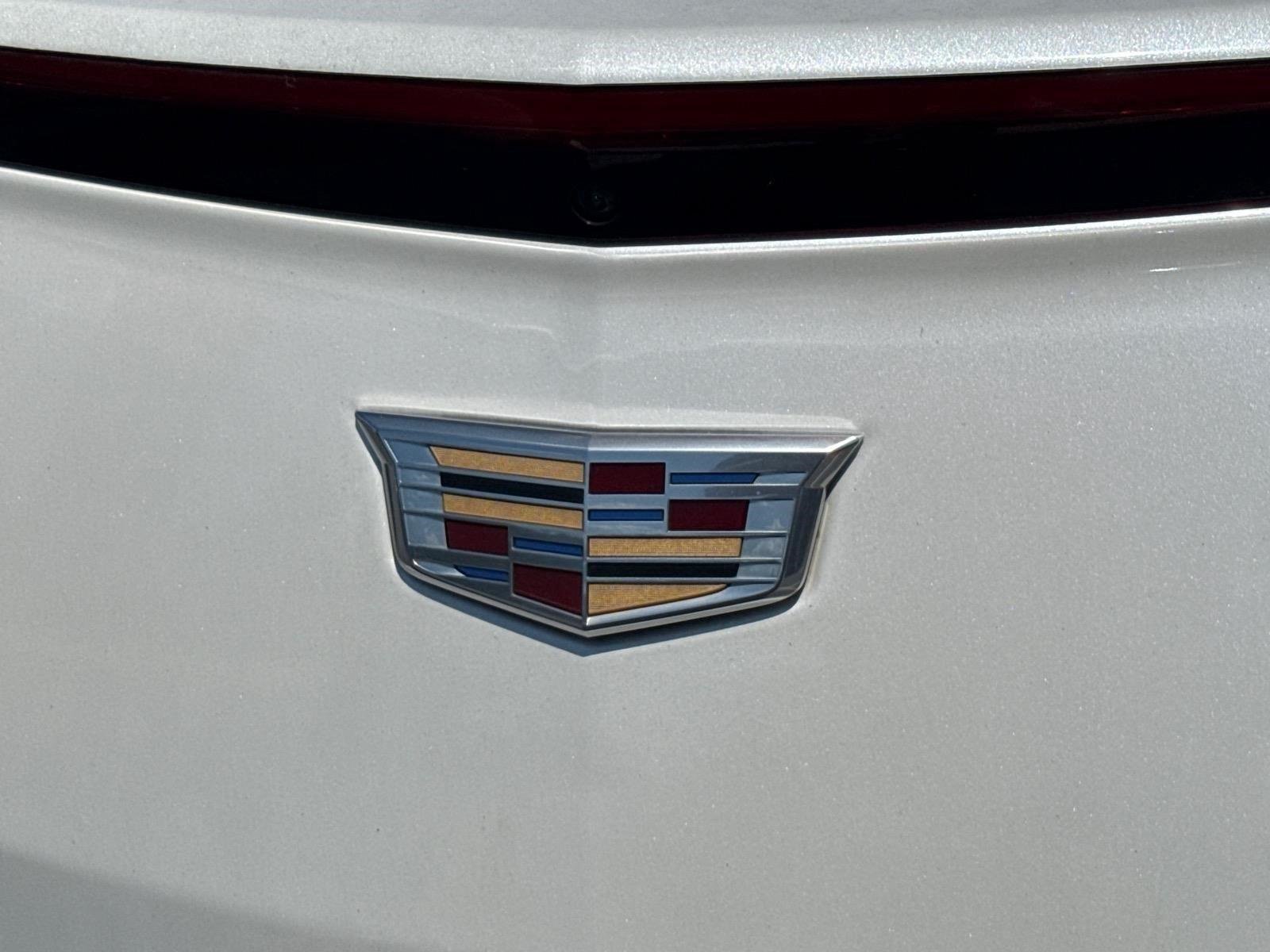 Used 2019 Crystal White Tricoat Cadillac Luxury image 15