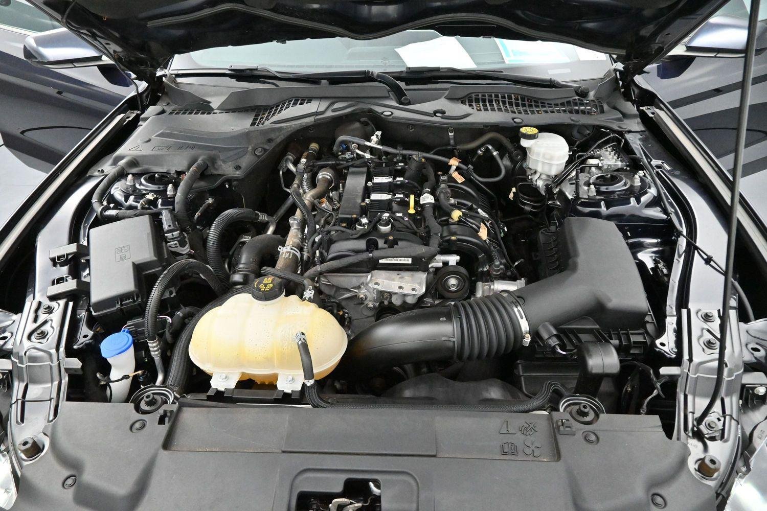 Used 2021 Antimatter Blue Ford EcoBoost image 29