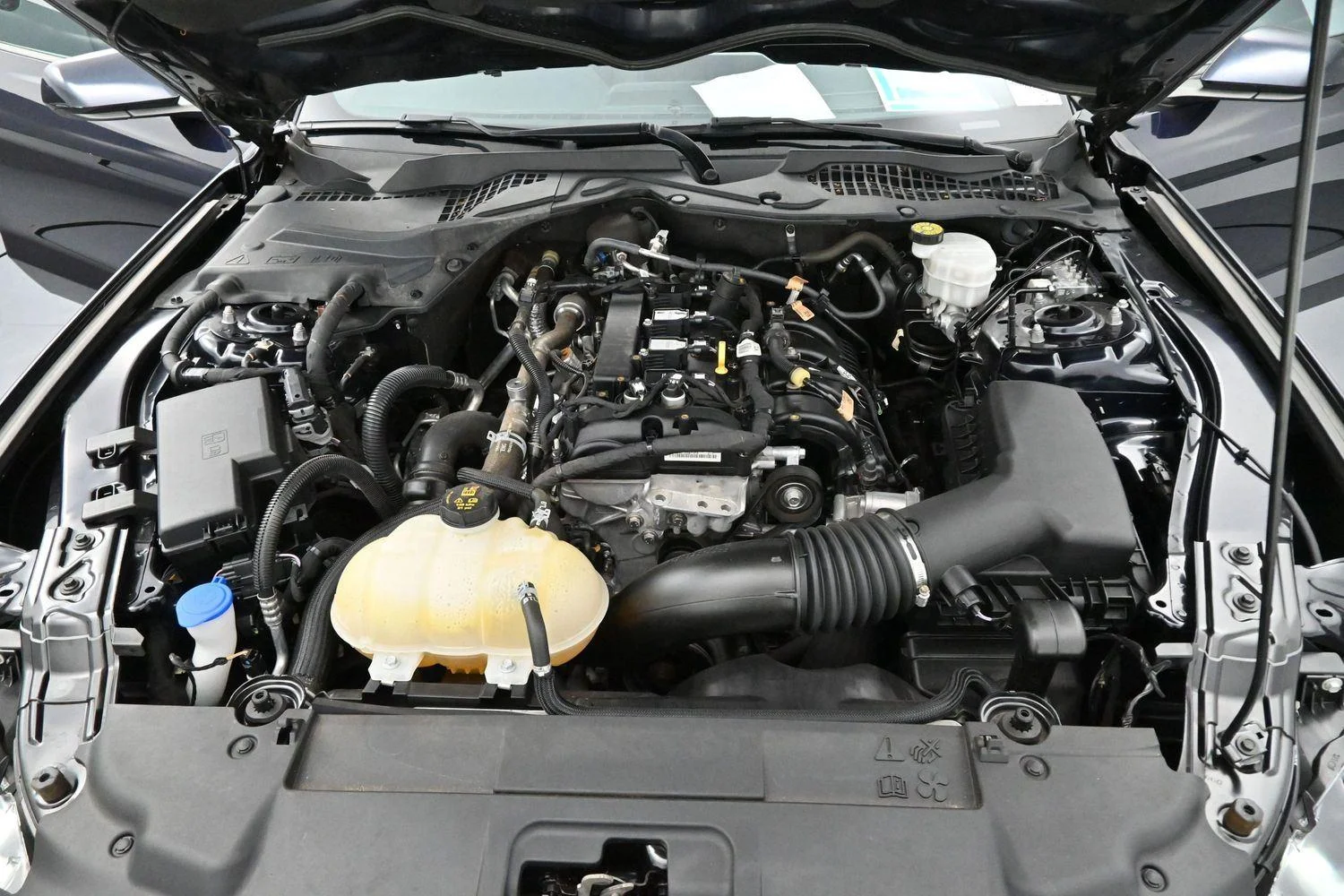 Used 2021 Antimatter Blue Ford EcoBoost image 29
