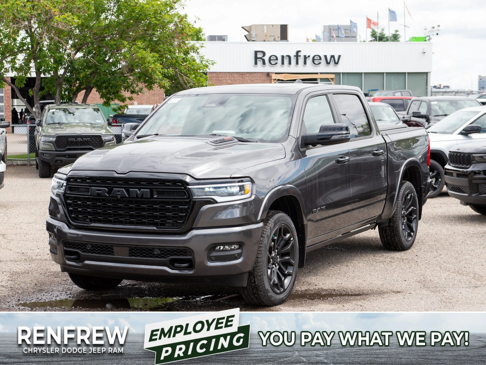 New 2026 Grey RAM Limited* image 1